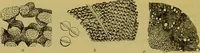 An illustration from The microscope : its history, construction, and application, being a familiar introduction to the use of the instrument, and the study of microscopical science / by Jabez Hogg. (1898)