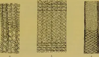 An illustration from The microscope : its history, construction, and application, being a familiar introduction to the use of the instrument, and the study of microscopical science / by Jabez Hogg. (1898)
