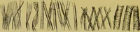 An illustration from The microscope : its history, construction, and application, being a familiar introduction to the use of the instrument, and the study of microscopical science / by Jabez Hogg. (1898)