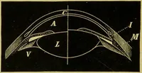 An illustration from The microscope : its history, construction, and application, being a familiar introduction to the use of the instrument, and the study of microscopical science / by Jabez Hogg. (1898)