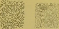 An illustration from The microscope : its history, construction, and application, being a familiar introduction to the use of the instrument, and the study of microscopical science / by Jabez Hogg. (1898)