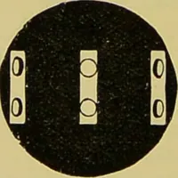 An illustration from The microscope : its history, construction, and application, being a familiar introduction to the use of the instrument, and the study of microscopical science / by Jabez Hogg. (1898)