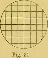An illustration from The microscope : its history, construction, and application, being a familiar introduction to the use of the instrument, and the study of microscopical science / by Jabez Hogg. (1898)