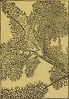 An illustration from The microscope : its history, construction, and application, being a familiar introduction to the use of the instrument, and the study of microscopical science / by Jabez Hogg. (1898)