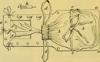 Picture 407 of 409 from The microscope : its history, construction, and application, being a familiar introduction to the use of the instrument, and the study of microscopical science / by Jabez Hogg. (1898), leaf 736
