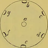 An illustration from The microscope : its history, construction, and application, being a familiar introduction to the use of the instrument, and the study of microscopical science / by Jabez Hogg. (1898)