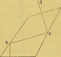 An illustration from The microscope : its history, construction, and application, being a familiar introduction to the use of the instrument, and the study of microscopical science / by Jabez Hogg. (1898)