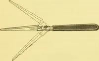 An illustration from Diseases of the nose and throat / by F. de Havilland Hall ... With 2 coloured plates and 59 illustrations. (1894)