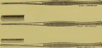 Picture 39 of 65 from Diseases of the ear, nose, and throat and their accessory cavities : A condensed text-book / By Seth Scott Bishop. (1897), leaf 181