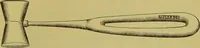 Picture 40 of 65 from Diseases of the ear, nose, and throat and their accessory cavities : A condensed text-book / By Seth Scott Bishop. (1897), leaf 181
