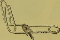 An illustration from Diseases of the ear, nose, and throat and their accessory cavities : A condensed text-book / By Seth Scott Bishop. (1897)