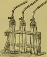 Picture 53 of 65 from Diseases of the ear, nose, and throat and their accessory cavities : A condensed text-book / By Seth Scott Bishop. (1897), leaf 238