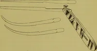An illustration from Diseases of the ear, nose, and throat and their accessory cavities : A condensed text-book / By Seth Scott Bishop. (1897)