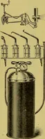 An illustration from Diseases of the ear, nose, and throat and their accessory cavities : A condensed text-book / By Seth Scott Bishop. (1897)