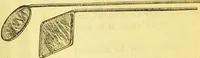 Picture 3 of 42 from Laryngoscopy and rhinoscopy and the diagnosis and treatment of the diseases of the throat and nose / by Prosser James, M.D. (1888), leaf 28