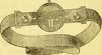 Picture 9 of 42 from Laryngoscopy and rhinoscopy and the diagnosis and treatment of the diseases of the throat and nose / by Prosser James, M.D. (1888), leaf 32
