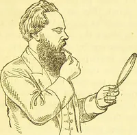 An illustration from Laryngoscopy and rhinoscopy and the diagnosis and treatment of the diseases of the throat and nose / by Prosser James, M.D. (1888)