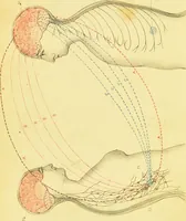 An illustration from Spiritualism and animal magnetism : a treatise on dreams, second sight, somnambulism, magnetic sleep, spiritual manifestations, hallucinations, and spectral visions / G.G. Zerffri. (1871)