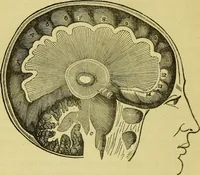 An illustration from Electrical-psychology or the electrical philosophy of mental impressions / from the works of J.B. Dods and J.S. Grimes ; revised and edited by H.G. Darling. (1851)