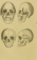 An illustration from Essays on physiognomy : designed to promote the knowledge and the love of mankind / written in the German language by John Caspar Lavater ; and translated into English by Thomas Holcroft ; to which are added, One hundred physiognomonical rules, a posthumous work by Mr. Lavater ; and memoirs of the life of the author, compiled principally from the life of Lavater, by G. Gessner. (1848)