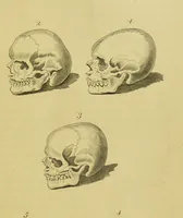 Picture 41 of 73 from Essays on physiognomy : designed to promote the knowledge and the love of mankind / written in the German language by John Caspar Lavater ; and translated into English by Thomas Holcroft ; to which are added, One hundred physiognomonical rules, a posthumous work by Mr. Lavater ; and memoirs of the life of the author, compiled principally from the life of Lavater, by G. Gessner. (1848), leaf 465