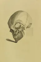 An illustration from Essays on physiognomy : designed to promote the knowledge and the love of mankind / written in the German language by John Caspar Lavater ; and translated into English by Thomas Holcroft ; to which are added, One hundred physiognomonical rules, a posthumous work by Mr. Lavater ; and memoirs of the life of the author, compiled principally from the life of Lavater, by G. Gessner. (1848)