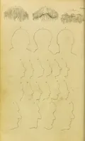 An illustration from Essays on physiognomy : designed to promote the knowledge and the love of mankind / written in the German language by John Caspar Lavater ; and translated into English by Thomas Holcroft ; to which are added, One hundred physiognomonical rules, a posthumous work by Mr. Lavater ; and memoirs of the life of the author, compiled principally from the life of Lavater, by G. Gessner. (1848)