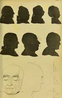 An illustration from Essays on physiognomy : designed to promote the knowledge and the love of mankind / written in the German language by John Caspar Lavater ; and translated into English by Thomas Holcroft ; to which are added, One hundred physiognomonical rules, a posthumous work by Mr. Lavater ; and memoirs of the life of the author, compiled principally from the life of Lavater, by G. Gessner. (1848)