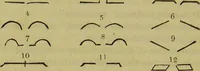 An illustration from Essays on physiognomy : designed to promote the knowledge and the love of mankind / written in the German language by John Caspar Lavater ; and translated into English by Thomas Holcroft ; to which are added, One hundred physiognomonical rules, a posthumous work by Mr. Lavater ; and memoirs of the life of the author, compiled principally from the life of Lavater, by G. Gessner. (1848)