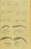 An illustration from Essays on physiognomy : designed to promote the knowledge and the love of mankind / written in the German language by John Caspar Lavater ; and translated into English by Thomas Holcroft ; to which are added, One hundred physiognomonical rules, a posthumous work by Mr. Lavater ; and memoirs of the life of the author, compiled principally from the life of Lavater, by G. Gessner. (1848)