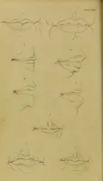An illustration from Essays on physiognomy : designed to promote the knowledge and the love of mankind / written in the German language by John Caspar Lavater ; and translated into English by Thomas Holcroft ; to which are added, One hundred physiognomonical rules, a posthumous work by Mr. Lavater ; and memoirs of the life of the author, compiled principally from the life of Lavater, by G. Gessner. (1848)