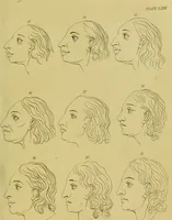 An illustration from Essays on physiognomy : designed to promote the knowledge and the love of mankind / written in the German language by John Caspar Lavater ; and translated into English by Thomas Holcroft ; to which are added, One hundred physiognomonical rules, a posthumous work by Mr. Lavater ; and memoirs of the life of the author, compiled principally from the life of Lavater, by G. Gessner. (1848)