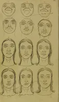 An illustration from Essays on physiognomy : designed to promote the knowledge and the love of mankind / written in the German language by John Caspar Lavater ; and translated into English by Thomas Holcroft ; to which are added, One hundred physiognomonical rules, a posthumous work by Mr. Lavater ; and memoirs of the life of the author, compiled principally from the life of Lavater, by G. Gessner. (1848)