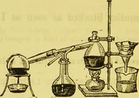 An illustration from A manual of vegetable materia medica / by George S.V. Wills. (1883)
