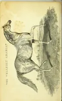 Picture 3 of 3 from An introduction to medical botany : illustrated with coloured figures / by Thomas Castle, F.L.S. (1829), leaf 186