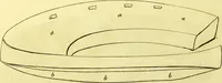 An illustration from Observations on the structure, œconomy, and diseases of the foot of the horse, and on the principles and practice of shoeing / by Edward Coleman. (1798)