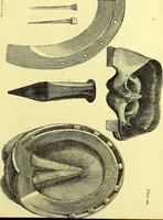 Picture 9 of 12 from Observations on the structure, œconomy, and diseases of the foot of the horse, and on the principles and practice of shoeing / by Edward Coleman. (1798), leaf 153