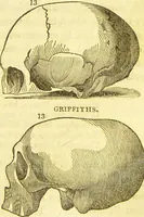 Picture 19 of 30 from Elements of phrenology / by George Combe. (1836), leaf 107
