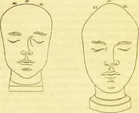Picture 24 of 30 from Elements of phrenology / by George Combe. (1836), leaf 124