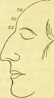 An illustration from Elements of phrenology / by George Combe. (1836)