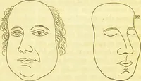 An illustration from Elements of phrenology / by George Combe. (1836)