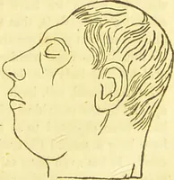 An illustration from Elements of phrenology / by George Combe. (1836)