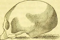 An illustration from Elements of phrenology / by George Combe. (1836)