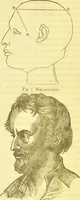 An illustration from Elements of phrenology / by George Combe. (1836)