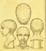 An illustration from Elements of phrenology / by George Combe. (1836)