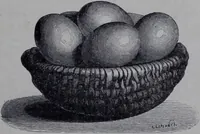 An illustration from The royal cookery book (le livre de cuisine) / by Jules Gouffé ; translated from the French and adapted for English use by Alphonse Gouffé ... comprising domestic and high-class cookery, illustrated with sixteen large plates printed in colours, and one hundred and sixty-one woodcuts from drawing from nature by E. Ronjat. (1868)