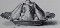 An illustration from The royal cookery book (le livre de cuisine) / by Jules Gouffé ; translated from the French and adapted for English use by Alphonse Gouffé ... comprising domestic and high-class cookery, illustrated with sixteen large plates printed in colours, and one hundred and sixty-one woodcuts from drawing from nature by E. Ronjat. (1868)