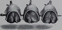 Picture 54 of 148 from The royal cookery book (le livre de cuisine) / by Jules Gouffé ; translated from the French and adapted for English use by Alphonse Gouffé ... comprising domestic and high-class cookery, illustrated with sixteen large plates printed in colours, and one hundred and sixty-one woodcuts from drawing from nature by E. Ronjat. (1868), leaf 195