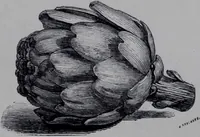 An illustration from The royal cookery book (le livre de cuisine) / by Jules Gouffé ; translated from the French and adapted for English use by Alphonse Gouffé ... comprising domestic and high-class cookery, illustrated with sixteen large plates printed in colours, and one hundred and sixty-one woodcuts from drawing from nature by E. Ronjat. (1868)