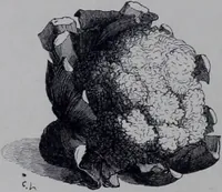An illustration from The royal cookery book (le livre de cuisine) / by Jules Gouffé ; translated from the French and adapted for English use by Alphonse Gouffé ... comprising domestic and high-class cookery, illustrated with sixteen large plates printed in colours, and one hundred and sixty-one woodcuts from drawing from nature by E. Ronjat. (1868)